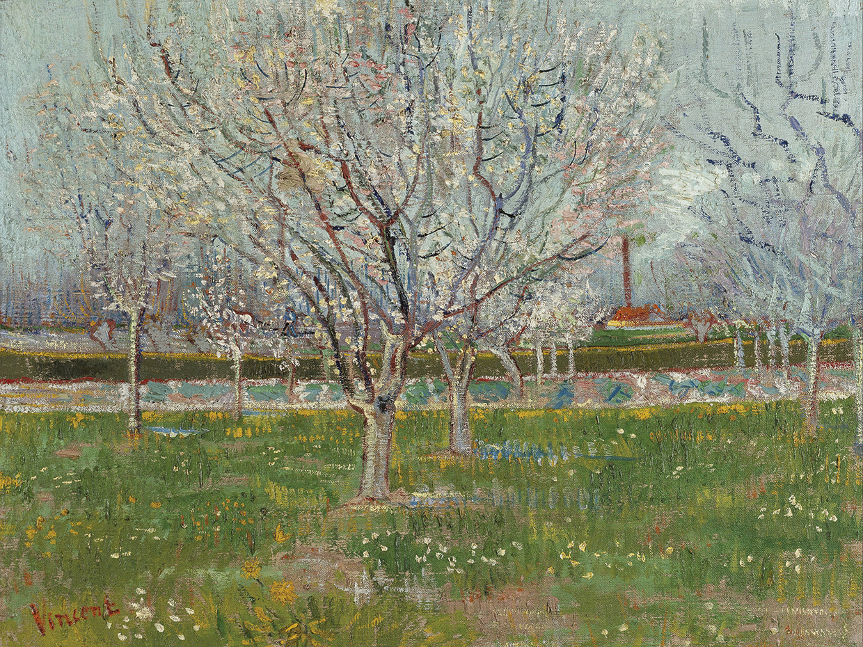 Orchard in Blossom (Plum Trees)
