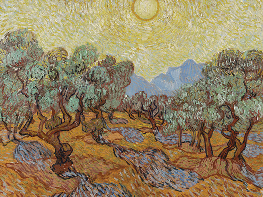 Olive Trees (1889)