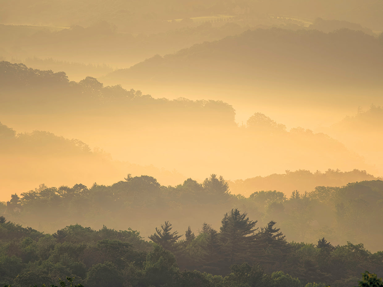 Misty Sunrise, Blue Ridge Mountains NC