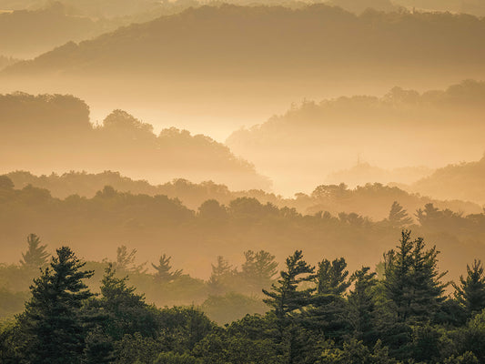 Misty Sunrise, Blue Ridge Mountains NC