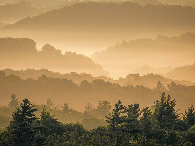 Misty Sunrise, Blue Ridge Mountains NC