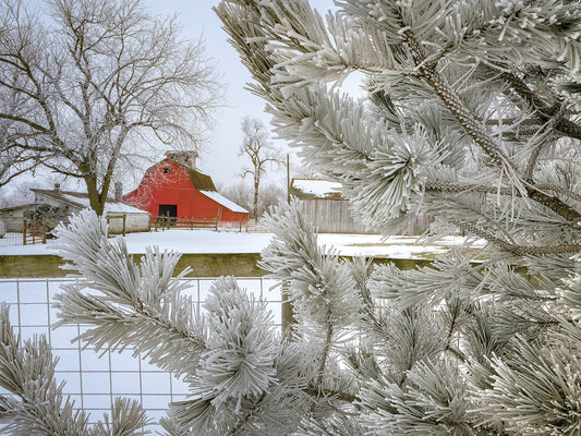 Frosty Farm, Iowa