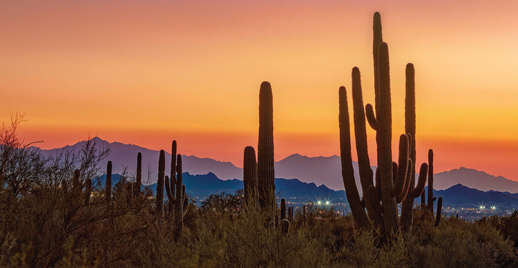 Sunset Afterglow, Scottsdale AZ