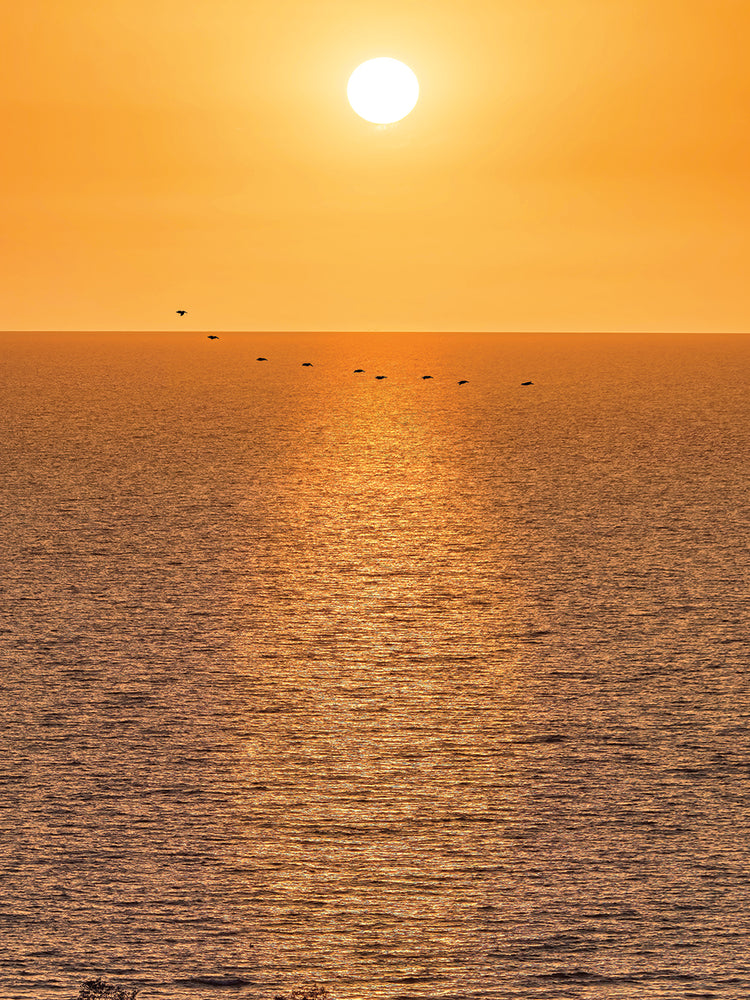 Sunrise Sorty, Naples FL