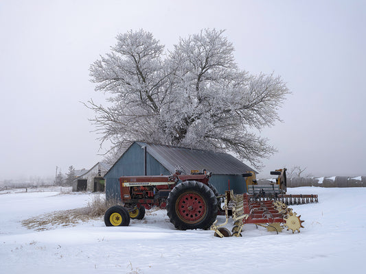Winter Artistry, Iowa