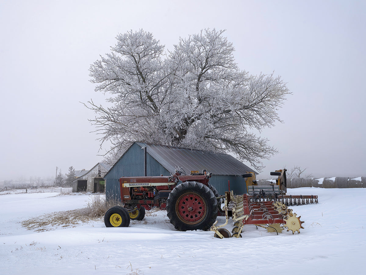 Winter artistry, Iowa