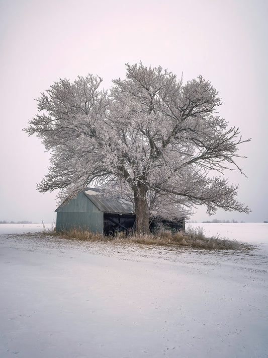 Frosty Solitaire, Iowa
