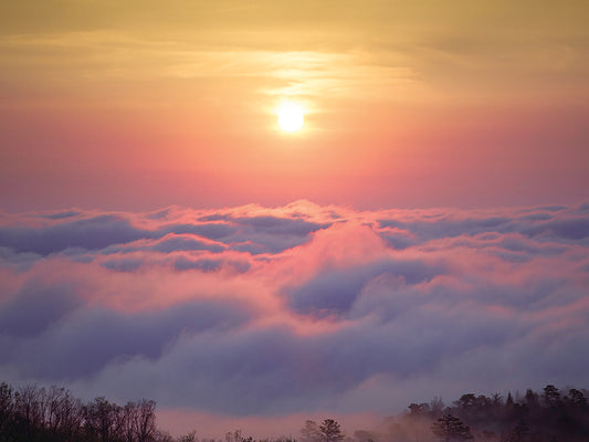Above the Clouds, Blue Ridge Mountains, North Carolina