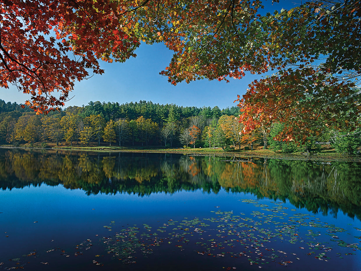 Bass Lake, Blowing Rock, NC