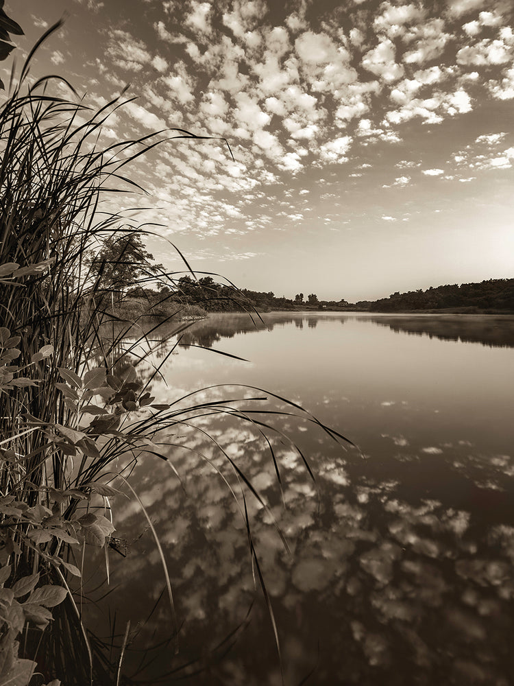 Reflexiones, Iowa Lienzo