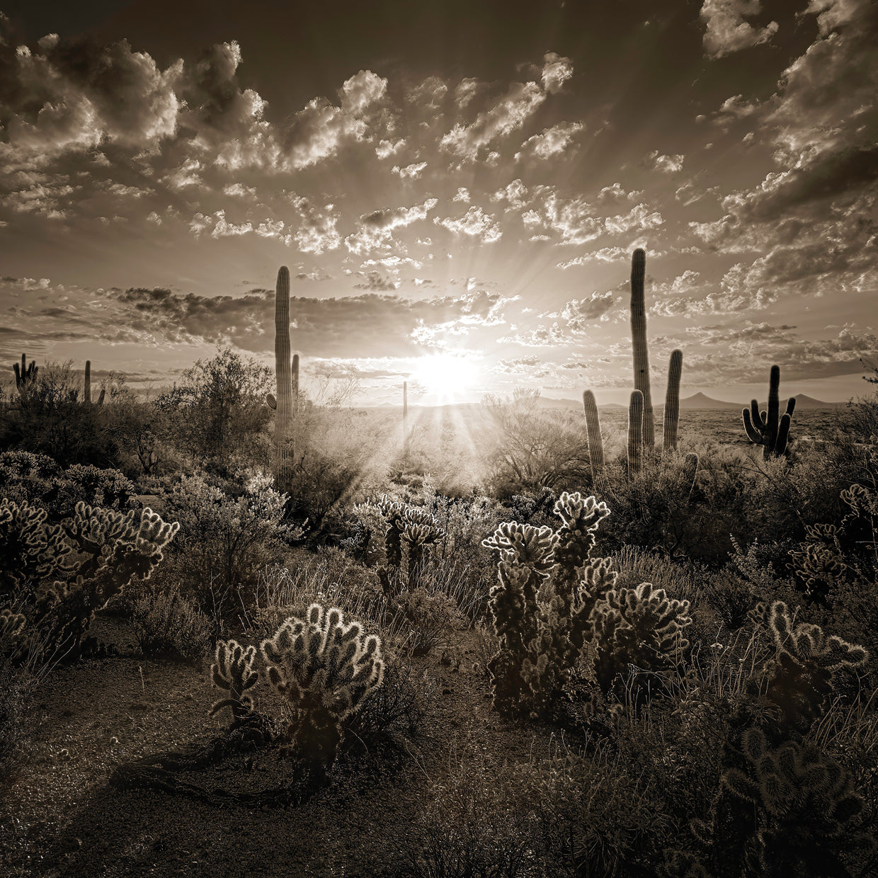 Carefree Sunrise, Carefree AZ