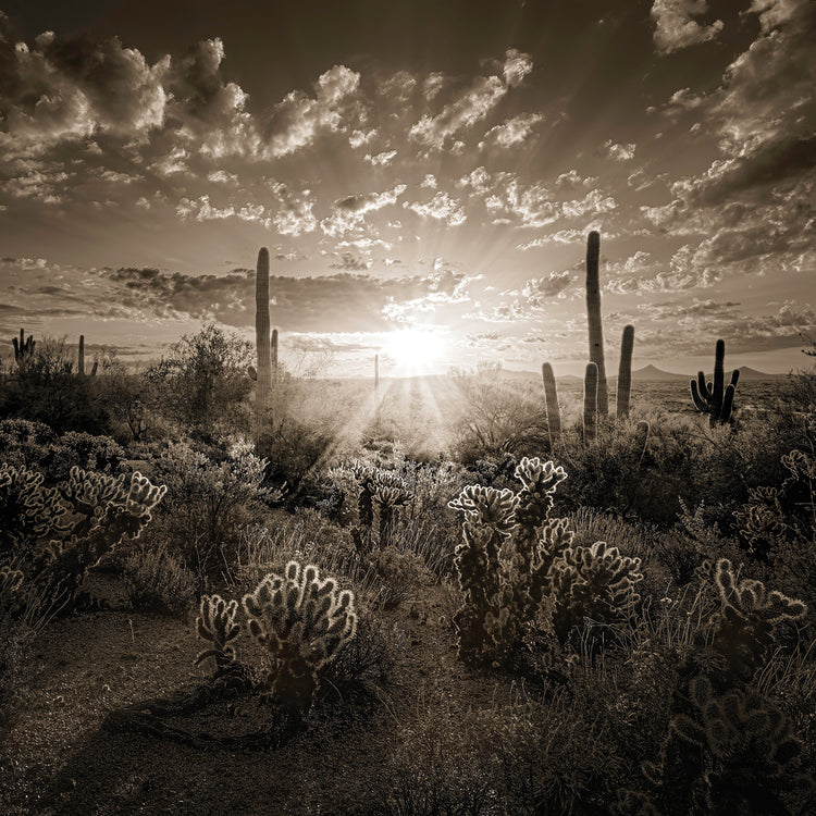 Carefree Sunrise, Carefree AZ