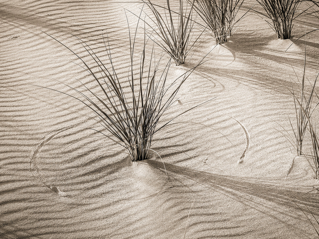 Lake Michigan East Shore, Michigan