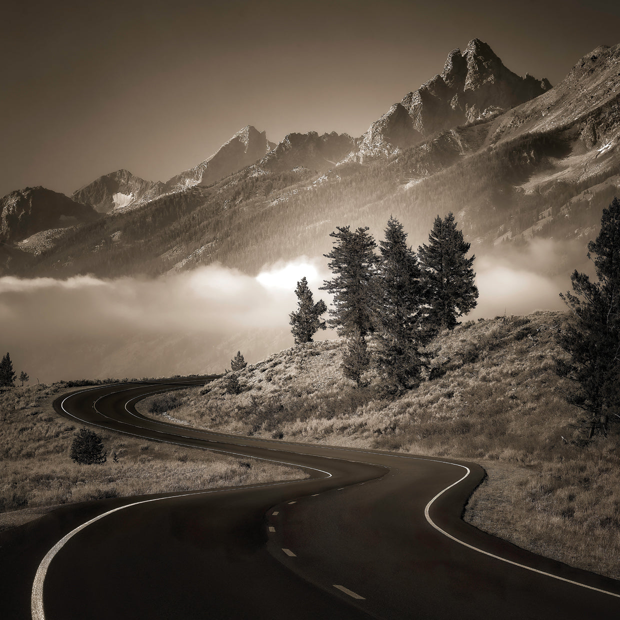 Winding Road, Grand Teton Nat'l Park, WY