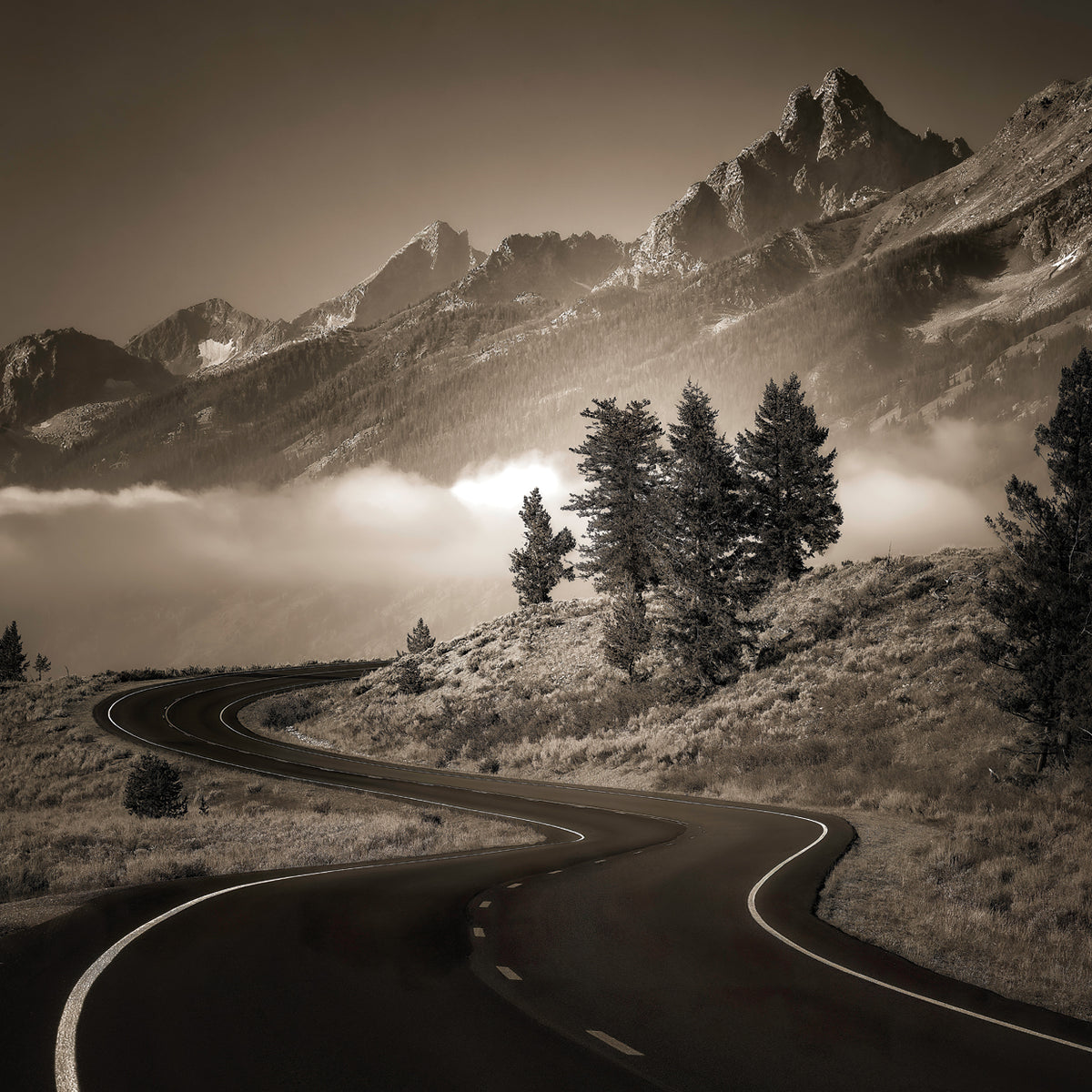 Winding road, Grand Teton Nat'l Park, WY