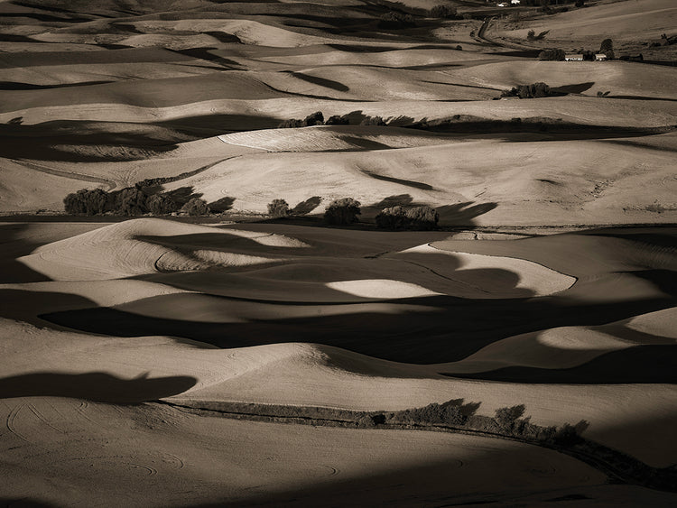 Wheat Fields of the Palouse, Eastern Washington