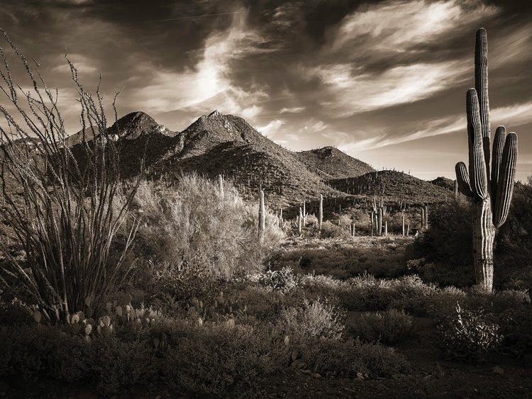 Spur Cross Ranch, Cave Creek AZ