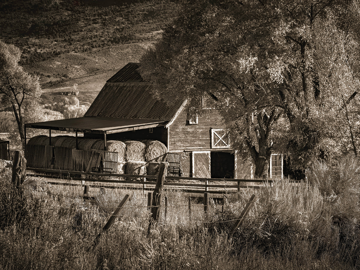 High country barn, Southwestern Colorado