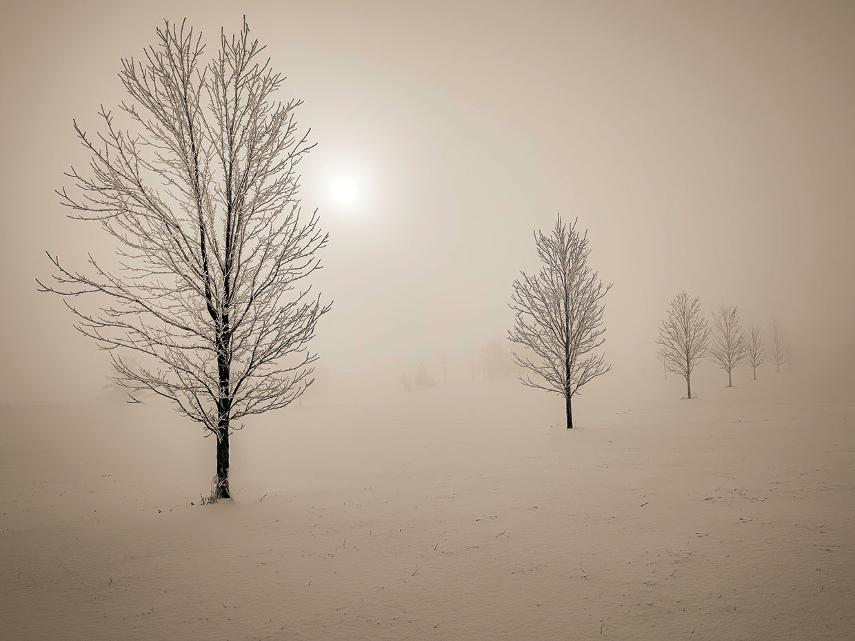 Misty winter moring, Iowa