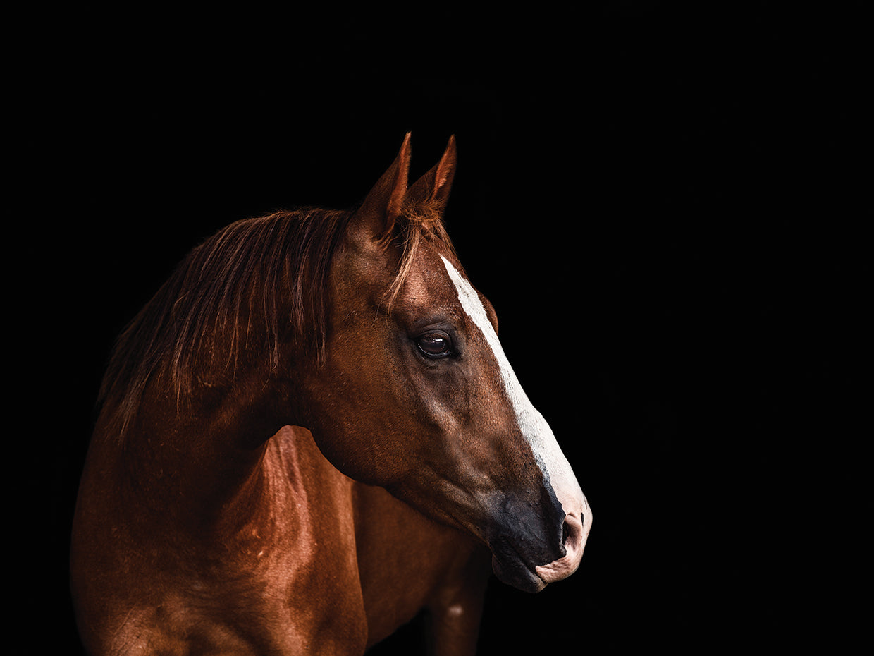 Bold and the Beautiful