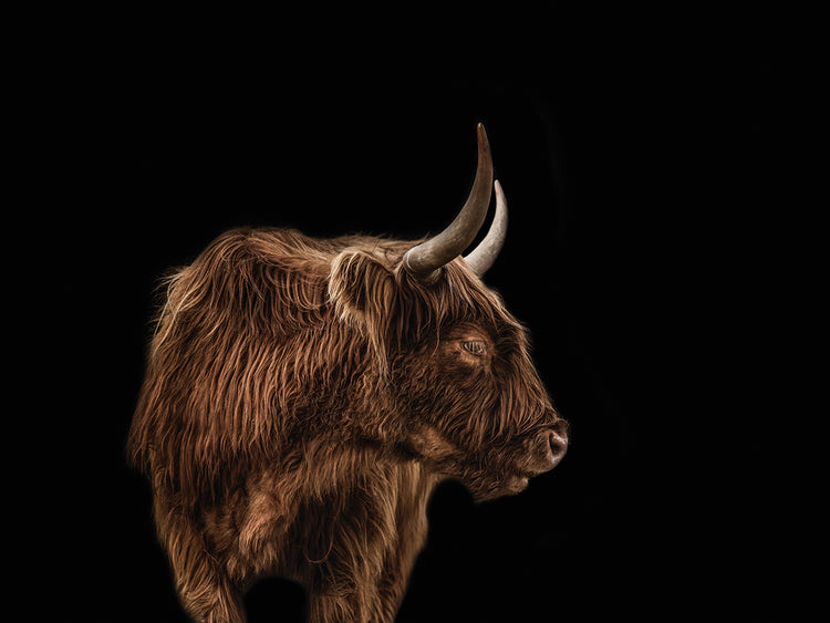 How's my Right Side?