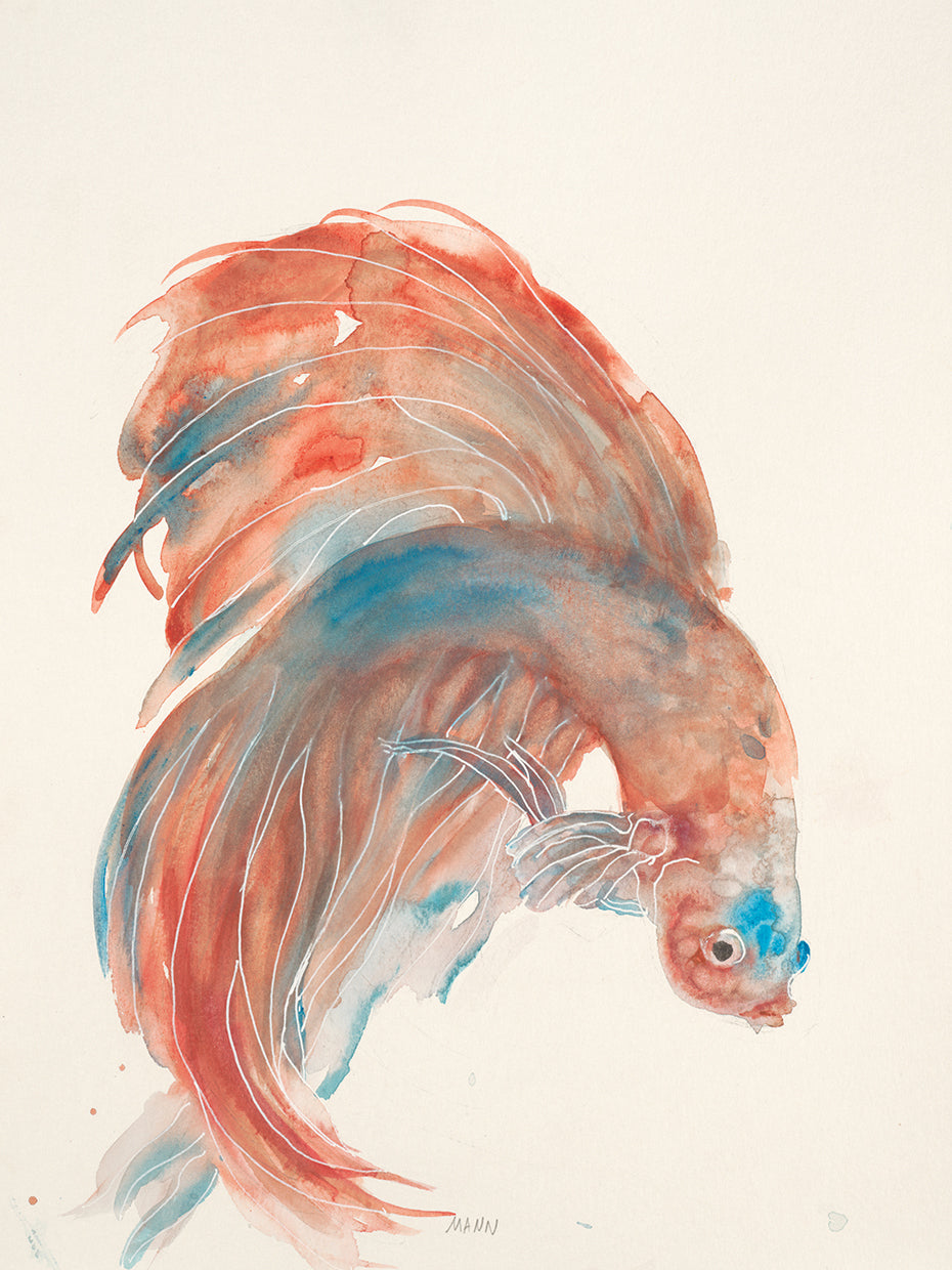 Betta III Lienzo