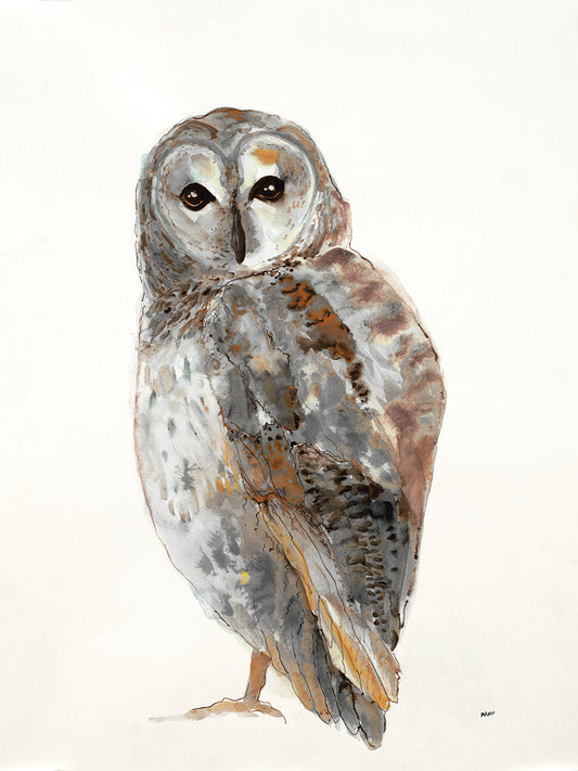 Brown Owl I Alt V2