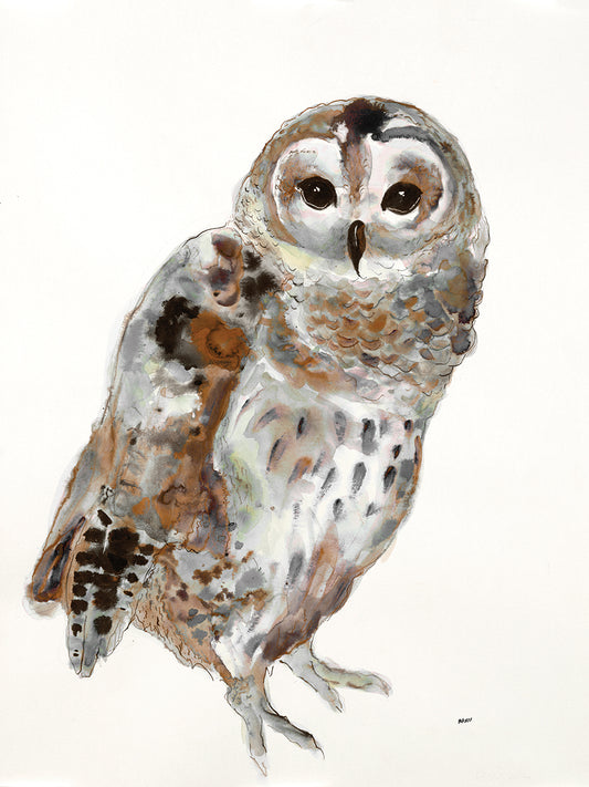 Brown Owl II Alt V2