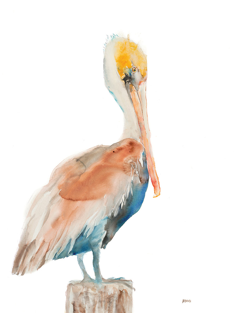 Pelican I