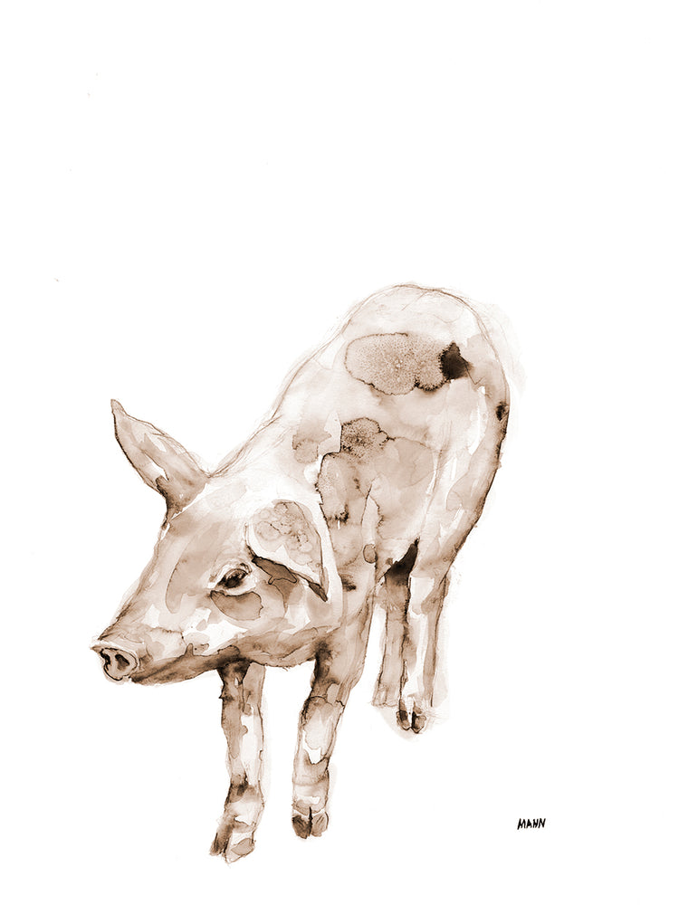 Cochinillo Alt V1 Lienzo