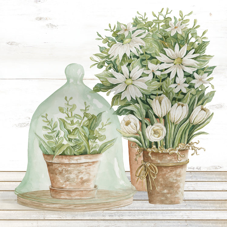 Flowers and Terrarium