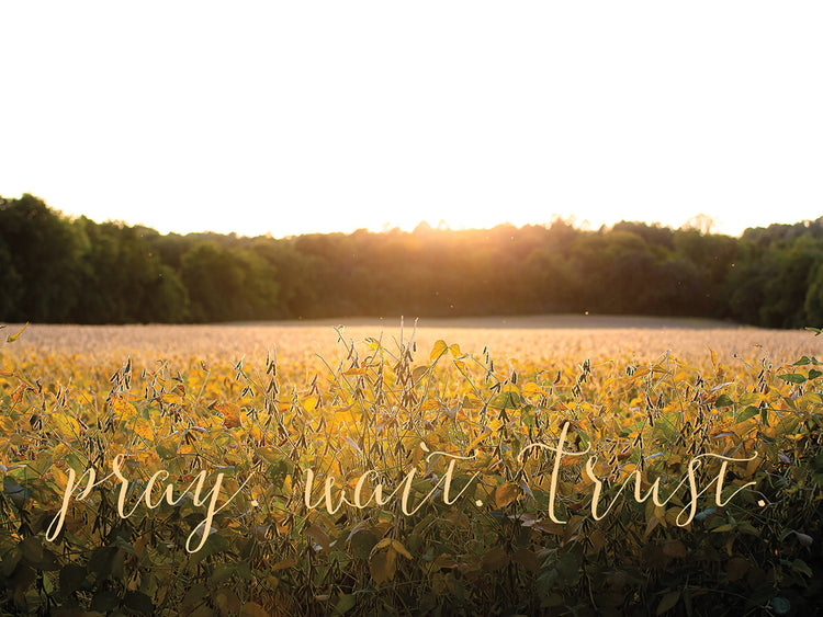 Pray, Wait, Trust