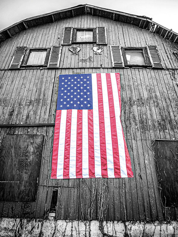 Patriotic Art