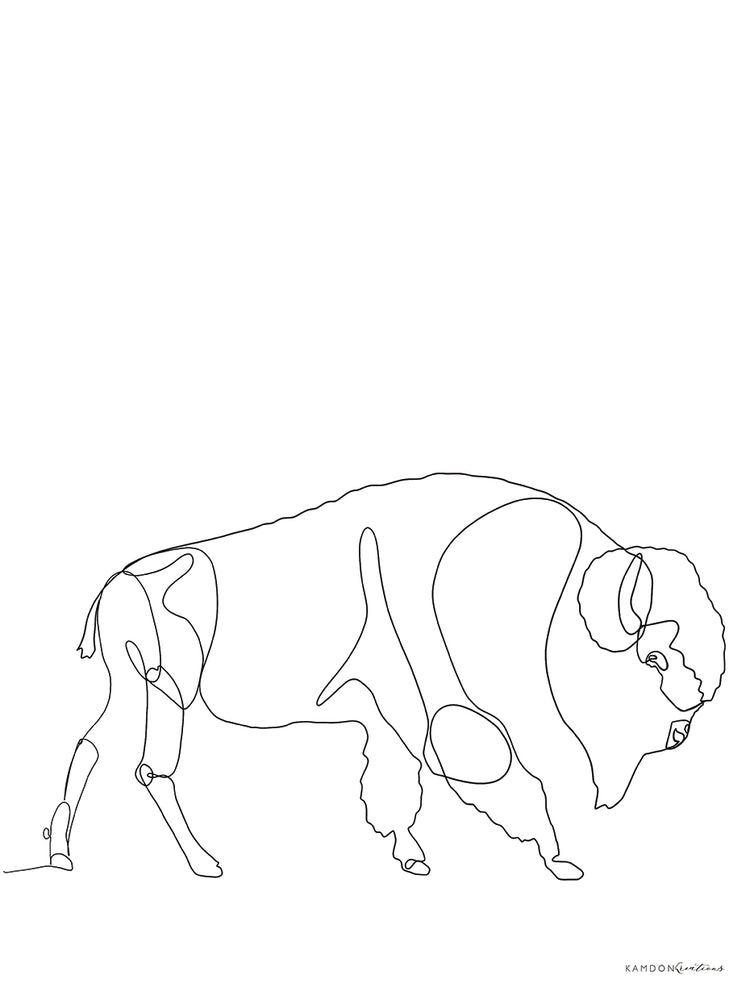 Bison