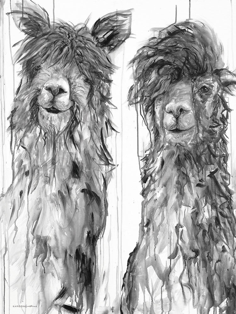 Alpaca un peine Lienzo