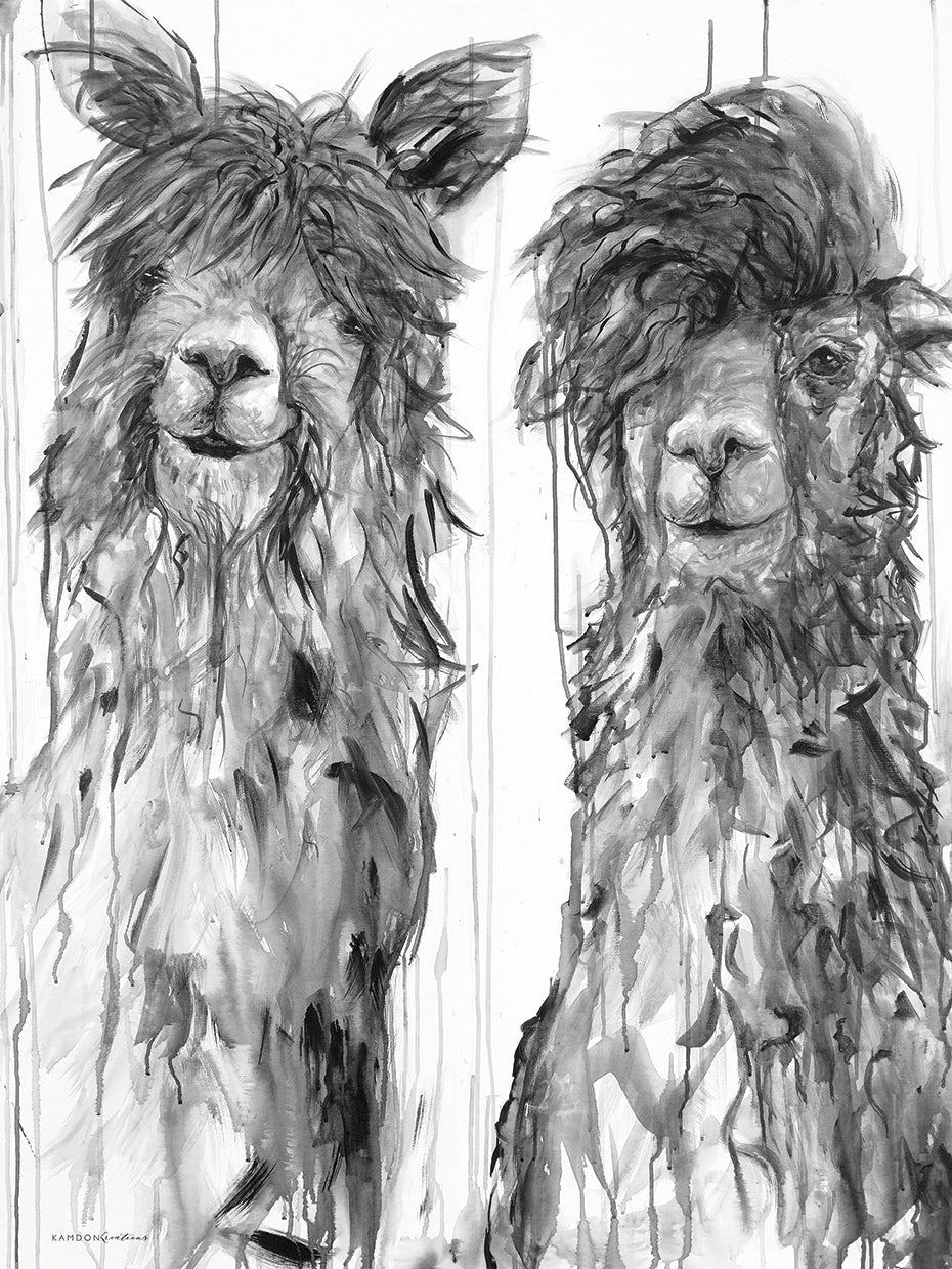 Alpaca un peine Lienzo