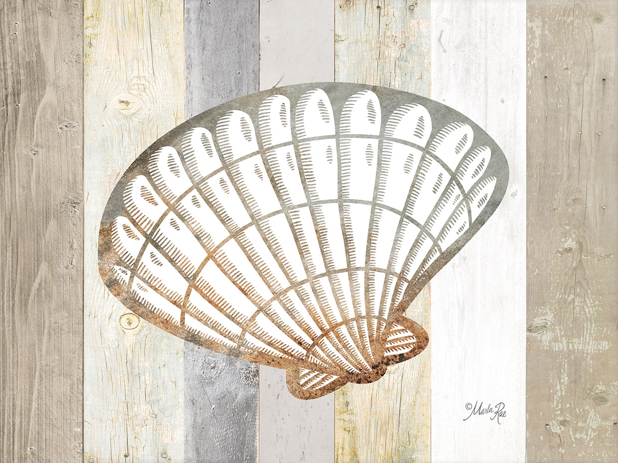 Coastal Shell II