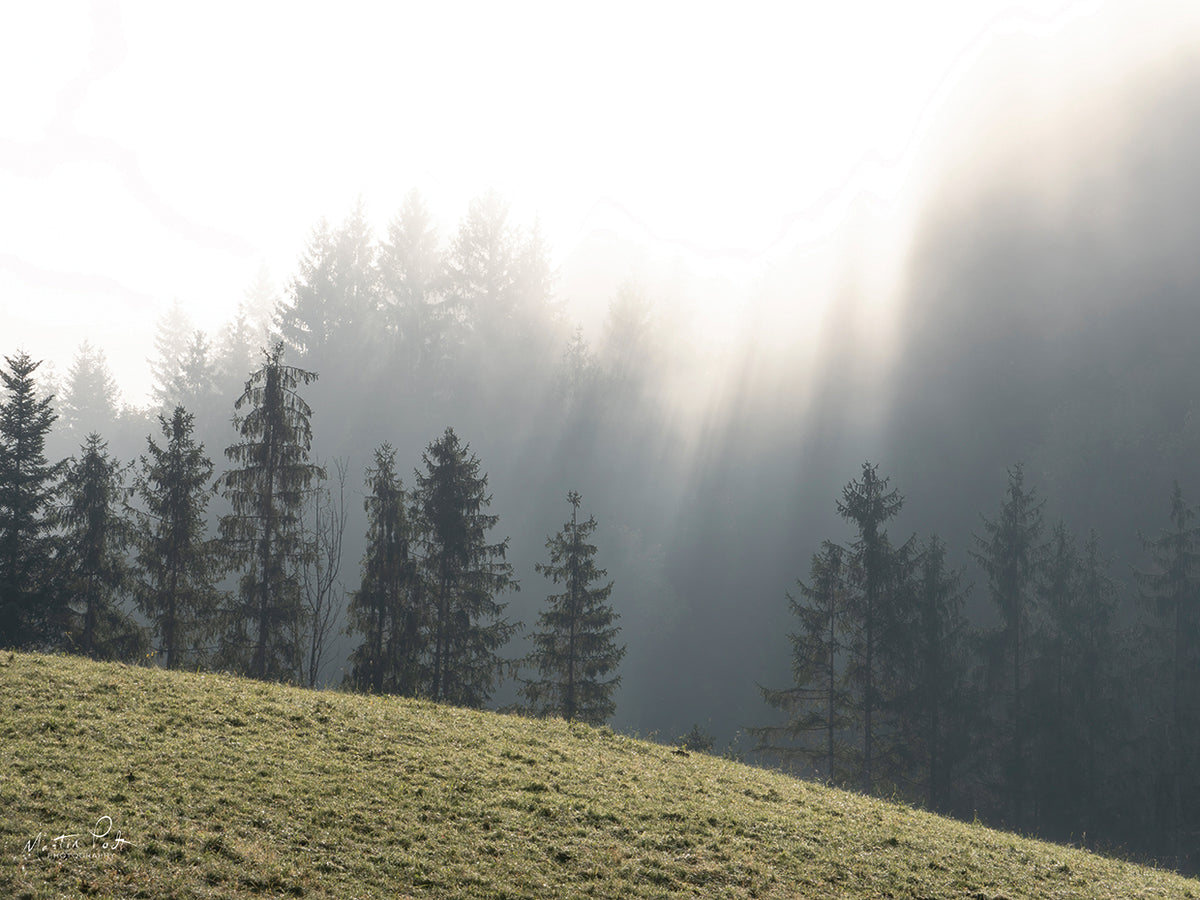 Mountain Glory