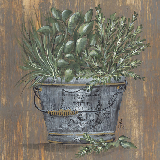 Herb Trio in Pail