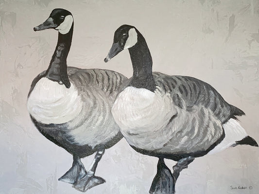 Ducks Canvas Print