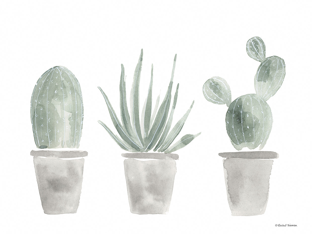 Sage Cactus Trio