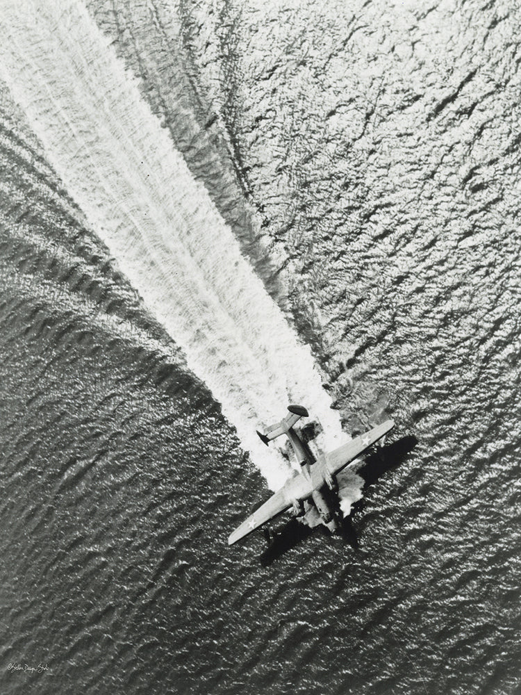 Avión de mar Lienzo