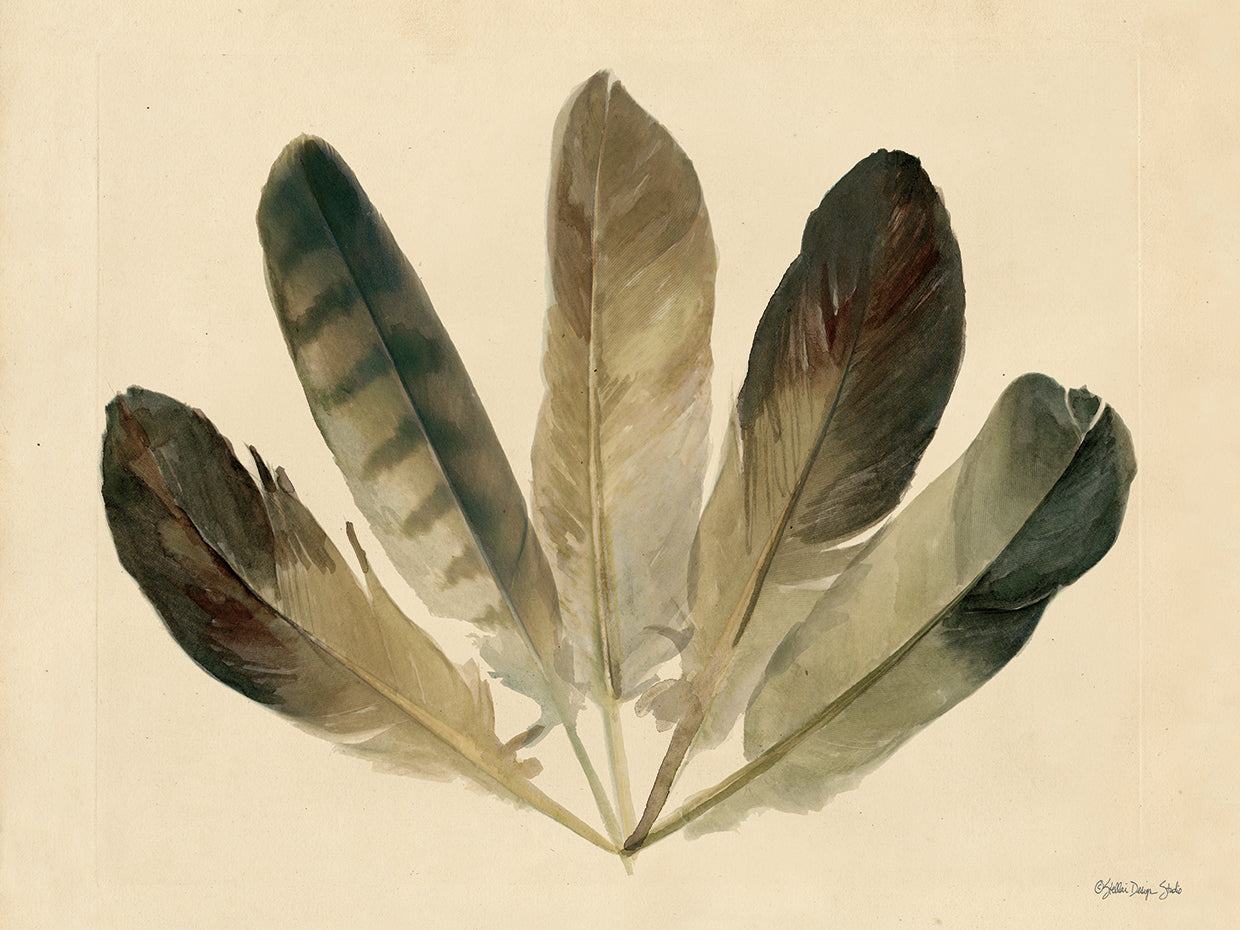 Cinco plumas Lienzo