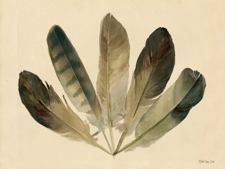 Cinco plumas Lienzo