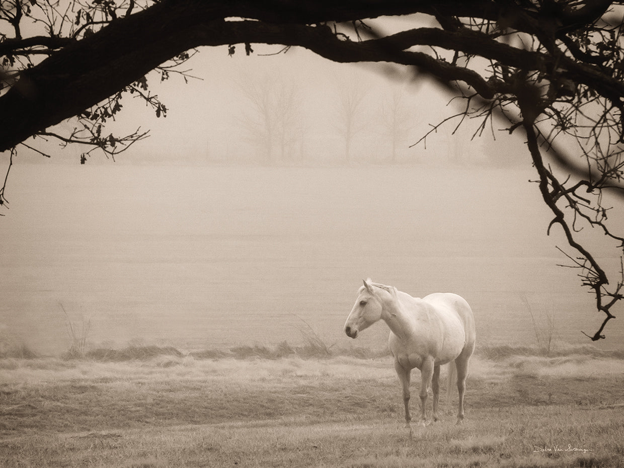 Hazy Horse II