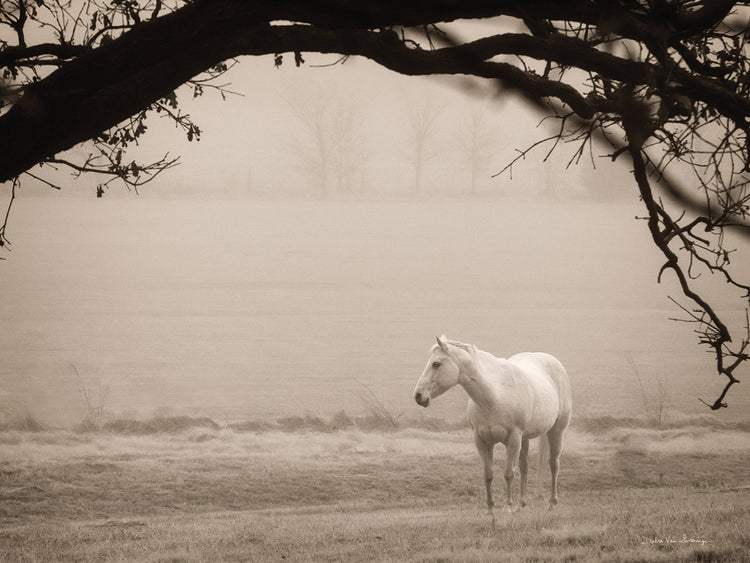 Hazy Horse II