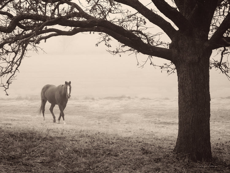 Hazy Horse I