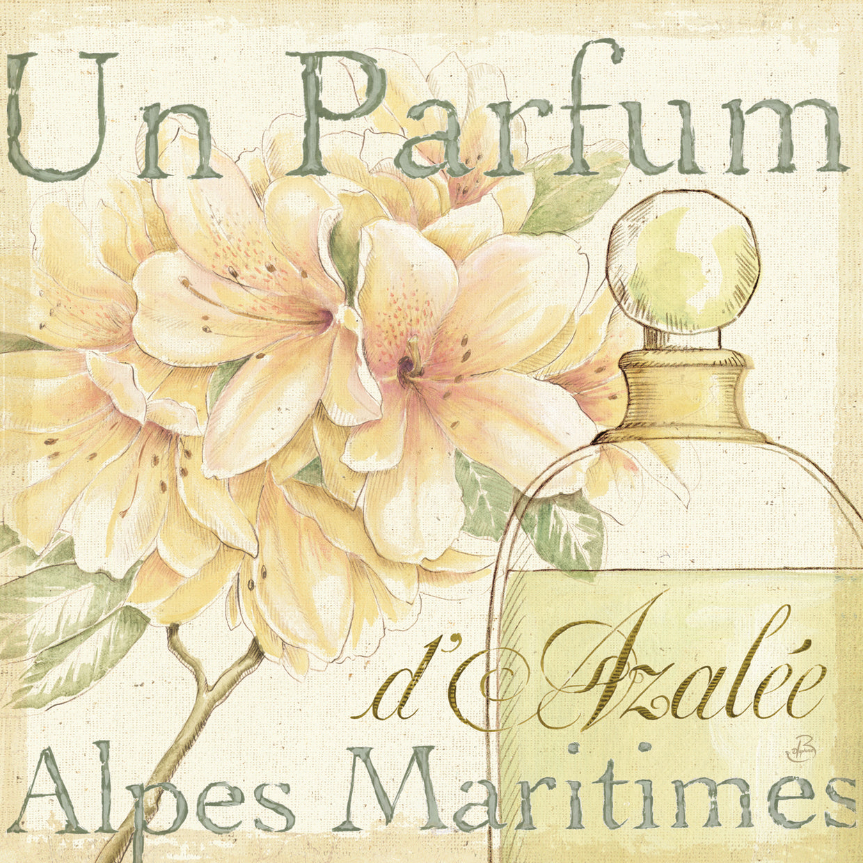 Fleurs and Parfum III