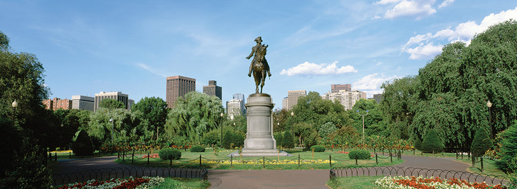 Historia de boston Lienzo
