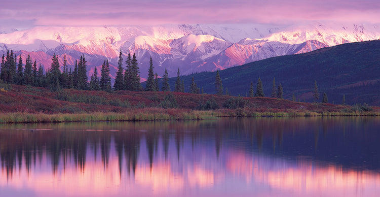 Puesta de sol sobre Denali Lienzo
